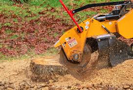Best Leaf Removal  in Poolesville, MD