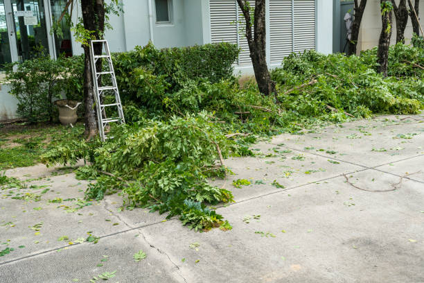 Best Hazardous Tree Removal  in Poolesville, MD