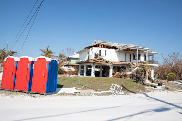 Professional Tree Removal in Poolesville, MD